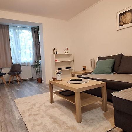 Enci House Apartment Târgu-Mureş エクステリア 写真