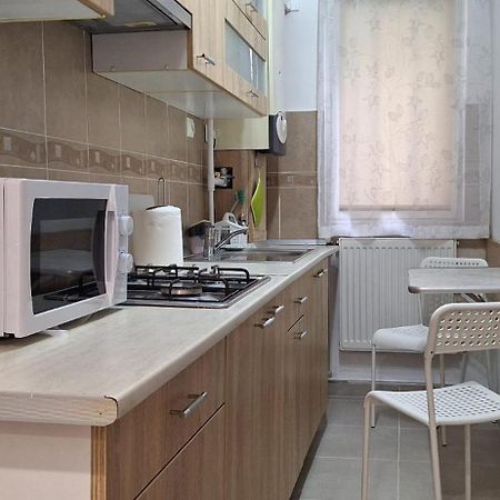 Enci House Apartment Târgu-Mureş エクステリア 写真