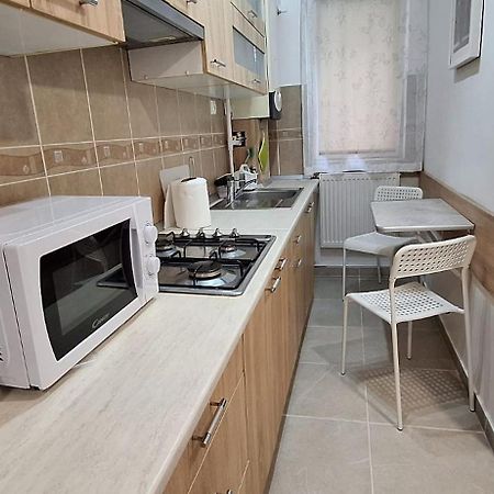 Enci House Apartment Târgu-Mureş エクステリア 写真