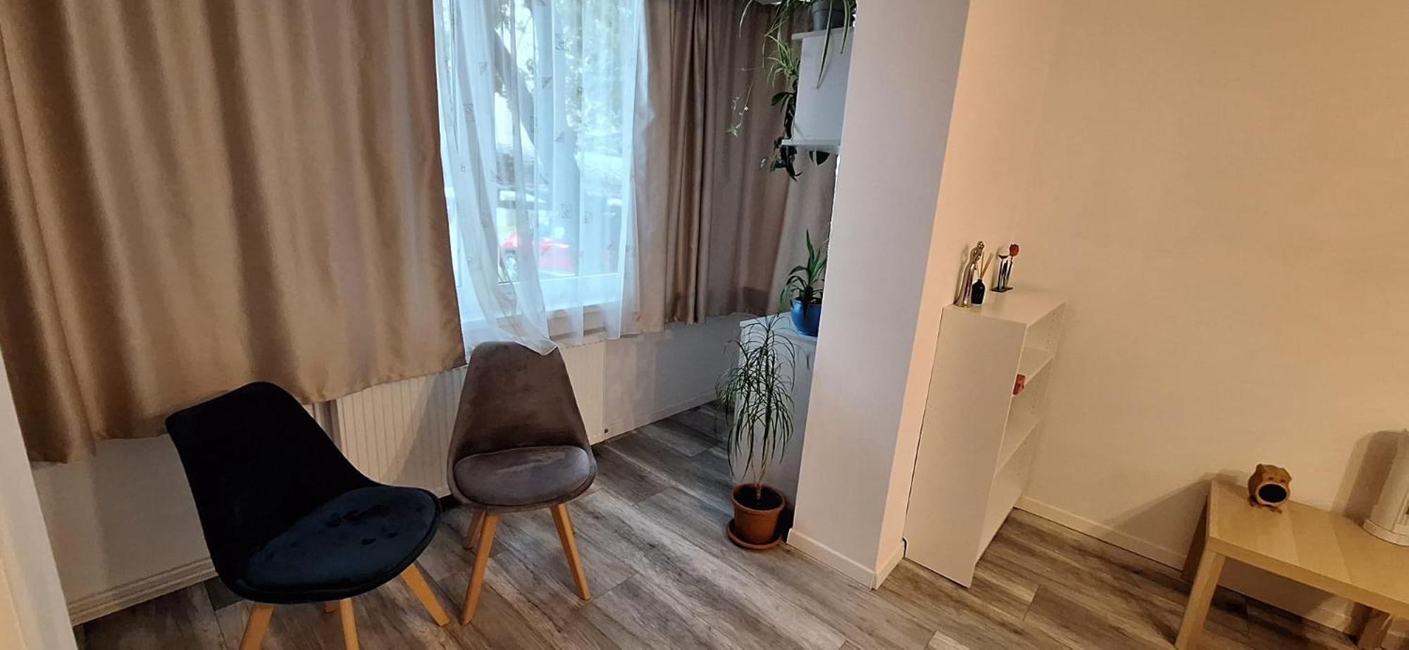 Enci House Apartment Târgu-Mureş エクステリア 写真