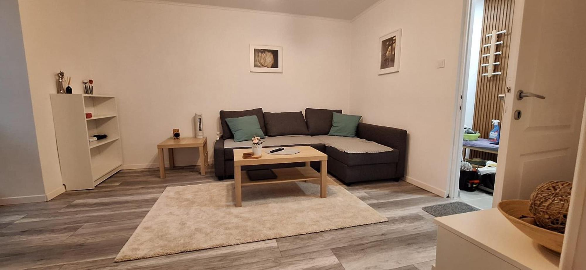 Enci House Apartment Târgu-Mureş エクステリア 写真